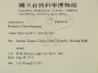 登錄號:F0029768藏品圖，第2張