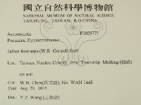 登錄號:F0029771藏品圖，第2張