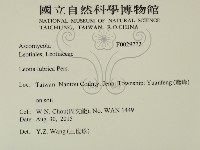 登錄號:F0029772藏品圖，第2張