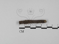 登錄號:F0029773藏品圖，第3張