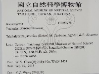 登錄號:F0029774藏品圖，第2張