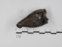 登錄號:F0029774藏品圖，第3張