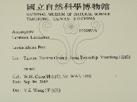 登錄號:F0029775藏品圖，第2張