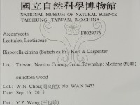 登錄號:F0029776藏品圖，第2張