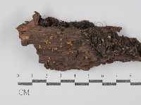 登錄號:F0029776藏品圖，第1張