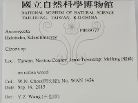 登錄號:F0029777藏品圖，第2張