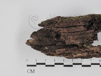 登錄號:F0029777藏品圖，第1張