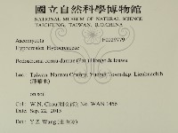 登錄號:F0029779藏品圖，第2張