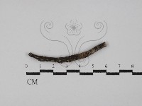 登錄號:F0029780藏品圖，第1張