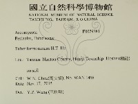 登錄號:F0029781藏品圖，第2張