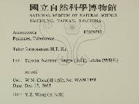 登錄號:F0029782藏品圖，第2張