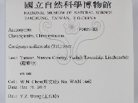 登錄號:F0029783藏品圖，第2張