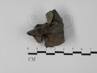 登錄號:F0029783藏品圖，第3張