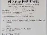 登錄號:F0029785藏品圖，第2張
