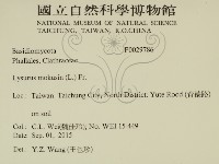 登錄號:F0029786藏品圖，第2張