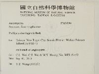 登錄號:F0029789藏品圖，第2張