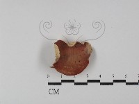 登錄號:F0029789藏品圖，第1張