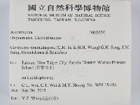 登錄號:F0029790藏品圖，第2張