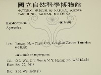 登錄號:F0029791藏品圖，第2張