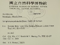 登錄號:F0029792藏品圖，第2張