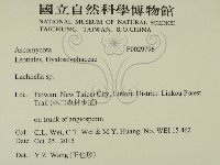 登錄號:F0029796藏品圖，第2張