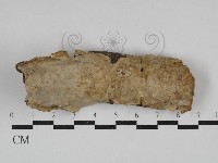 登錄號:F0029797藏品圖，第1張