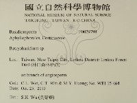 登錄號:F0029798藏品圖，第2張