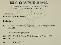 登錄號:F0029799藏品圖，第2張