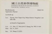 登錄號:F0029799藏品圖，第3張