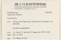 登錄號:F0029801藏品圖，第4張