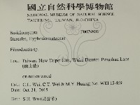 登錄號:F0029802藏品圖，第2張