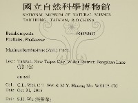 登錄號:F0029803藏品圖，第2張