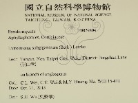 登錄號:F0029804藏品圖，第2張