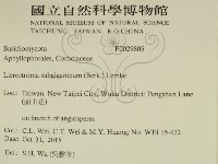 登錄號:F0029805藏品圖，第2張