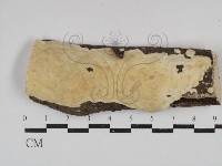 登錄號:F0029805藏品圖，第1張