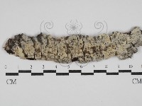 登錄號:F0029806藏品圖，第1張