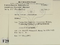 登錄號:F0029807藏品圖，第1張