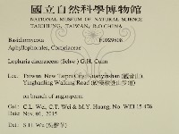 登錄號:F0029808藏品圖，第2張