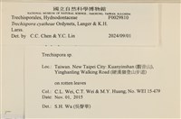 館號:F0029810藏品圖，第3張