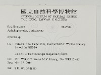 登錄號:F0029814藏品圖，第2張