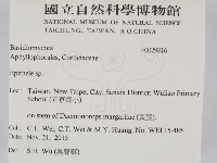 登錄號:F0029816藏品圖，第2張