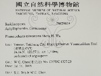 登錄號:F0029818藏品圖，第2張