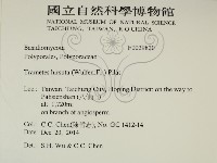 登錄號:F0029820藏品圖，第2張