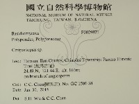 登錄號:F0029821藏品圖，第2張