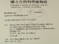登錄號:F0029823藏品圖，第2張