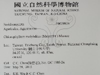 登錄號:F0029824藏品圖，第2張