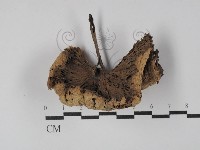 登錄號:F0029824藏品圖，第1張