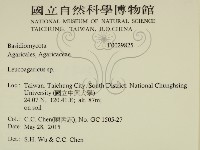 登錄號:F0029825藏品圖，第2張