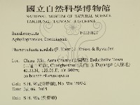 登錄號:F0029827藏品圖，第2張