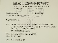 登錄號:F0029828藏品圖，第2張